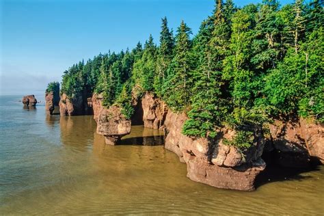 bunda national geographic|Bay of Fundy .